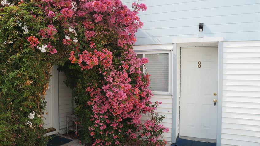 Stinson Beach Motel Extérieur photo